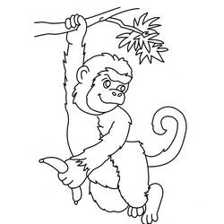 ぬりえページ: 猿 (動物) #14254 - 無料の印刷可能なぬりえページ