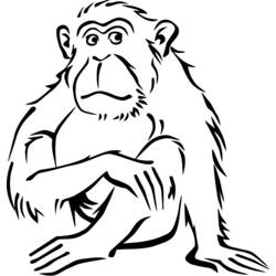 ぬりえページ: 猿 (動物) #14320 - 無料の印刷可能なぬりえページ
