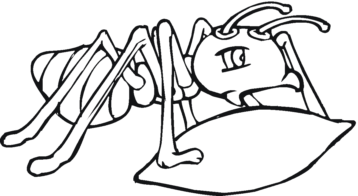 ぬりえページ: 蟻 (動物) #6920 - 無料の印刷可能なぬりえページ