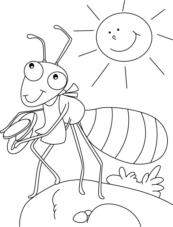 ぬりえページ: 蟻 (動物) #6927 - 無料の印刷可能なぬりえページ
