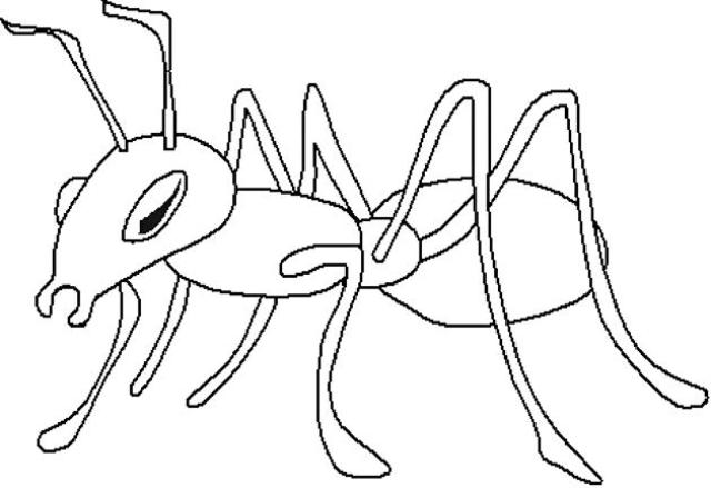 ぬりえページ: 蟻 (動物) #6947 - 無料の印刷可能なぬりえページ