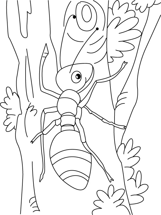 ぬりえページ: 蟻 (動物) #6957 - 無料の印刷可能なぬりえページ
