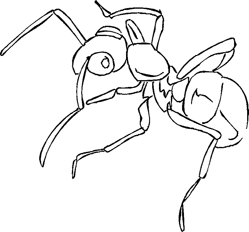 ぬりえページ: 蟻 (動物) #6961 - 無料の印刷可能なぬりえページ