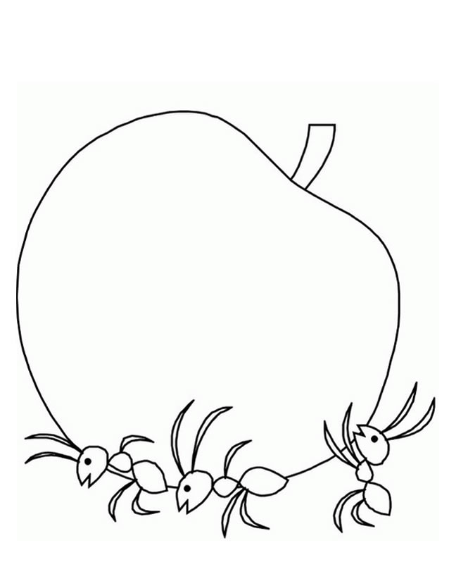 ぬりえページ: 蟻 (動物) #6964 - 無料の印刷可能なぬりえページ