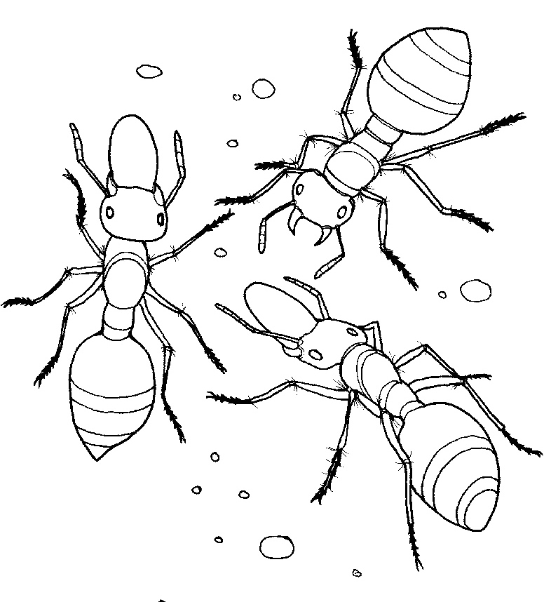 ぬりえページ: 蟻 (動物) #6993 - 無料の印刷可能なぬりえページ