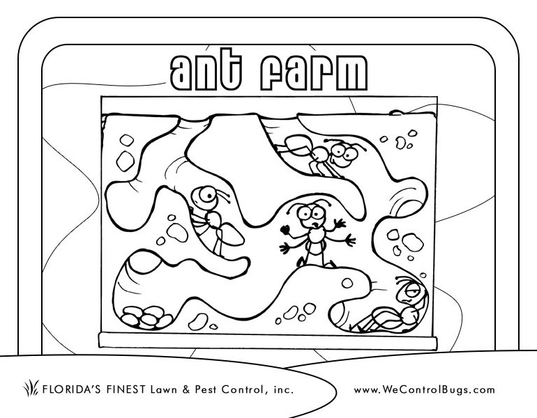 ぬりえページ: 蟻 (動物) #7010 - 無料の印刷可能なぬりえページ
