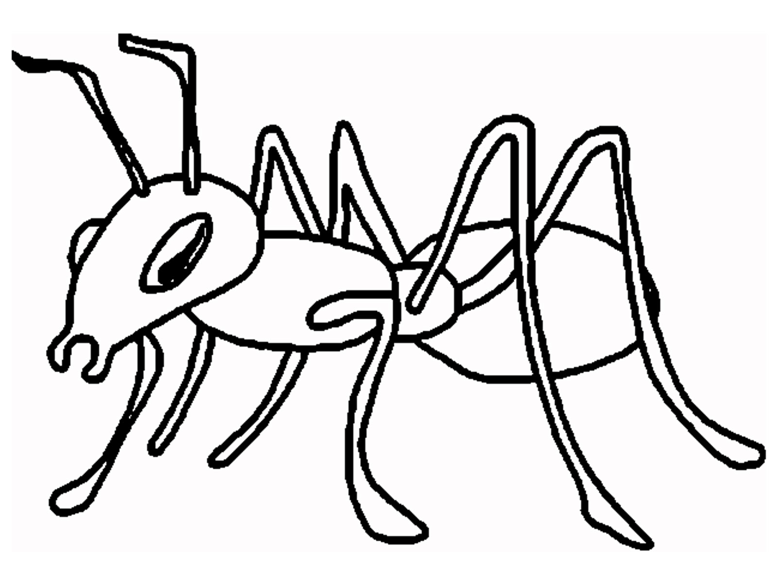 ぬりえページ: 蟻 (動物) #7018 - 無料の印刷可能なぬりえページ