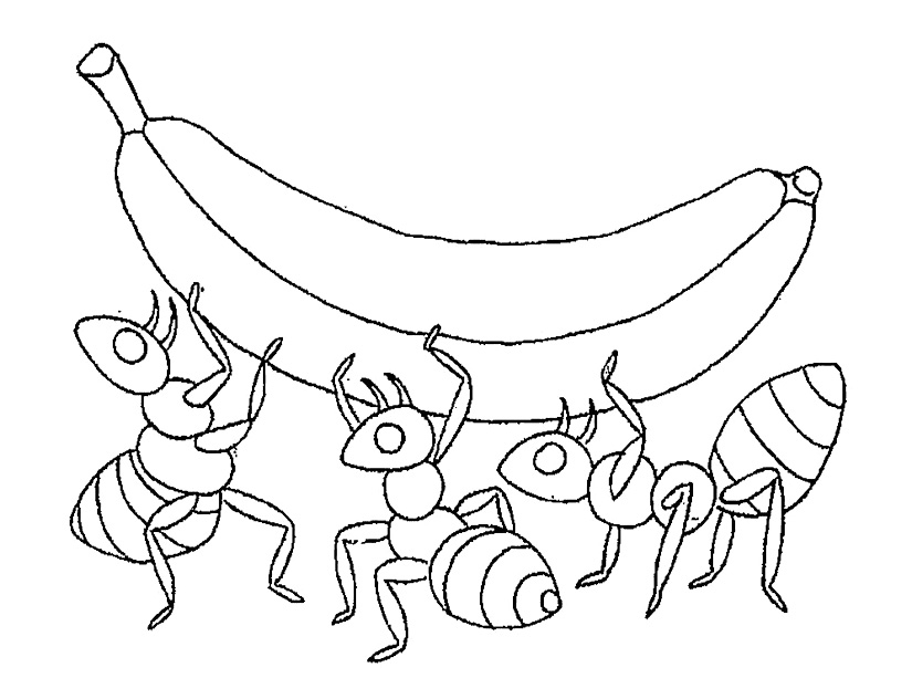 ぬりえページ: 蟻 (動物) #7079 - 無料の印刷可能なぬりえページ