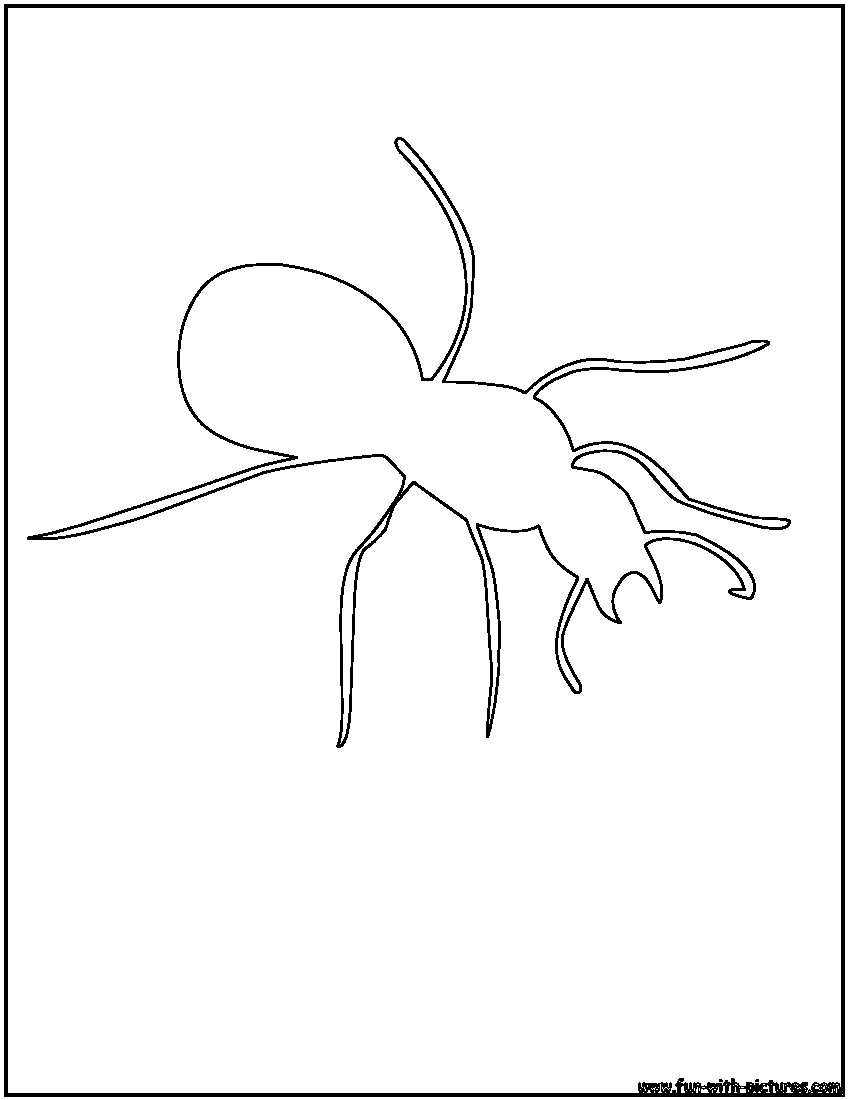 ぬりえページ: 蟻 (動物) #7094 - 無料の印刷可能なぬりえページ