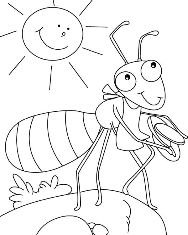 ぬりえページ: 蟻 (動物) #7111 - 無料の印刷可能なぬりえページ