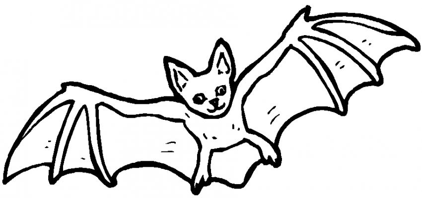 ぬりえページ: コウモリ (動物) #1975 - 無料の印刷可能なぬりえページ