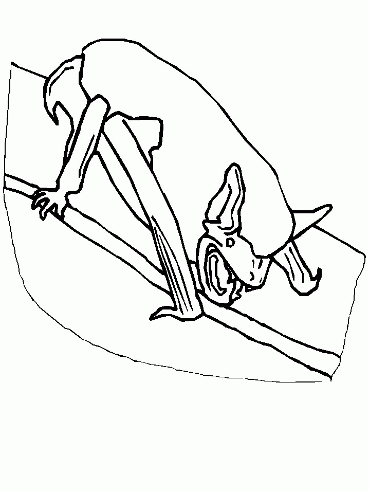 ぬりえページ: コウモリ (動物) #1981 - 無料の印刷可能なぬりえページ
