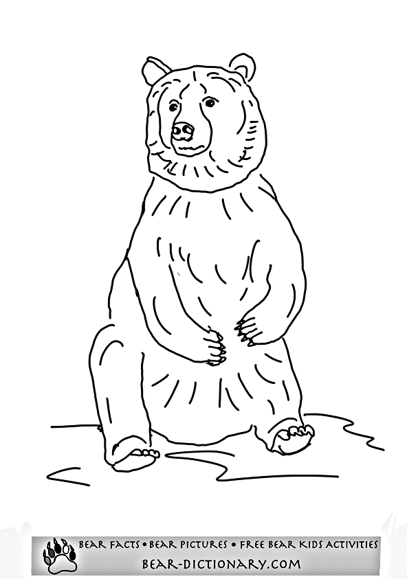 ぬりえページ: クマ (動物) #12223 - 無料の印刷可能なぬりえページ