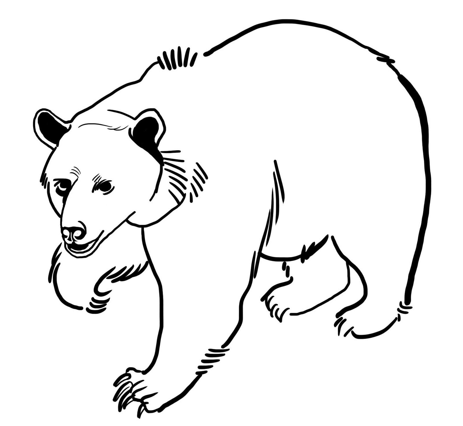 ぬりえページ: クマ (動物) #12240 - 無料の印刷可能なぬりえページ