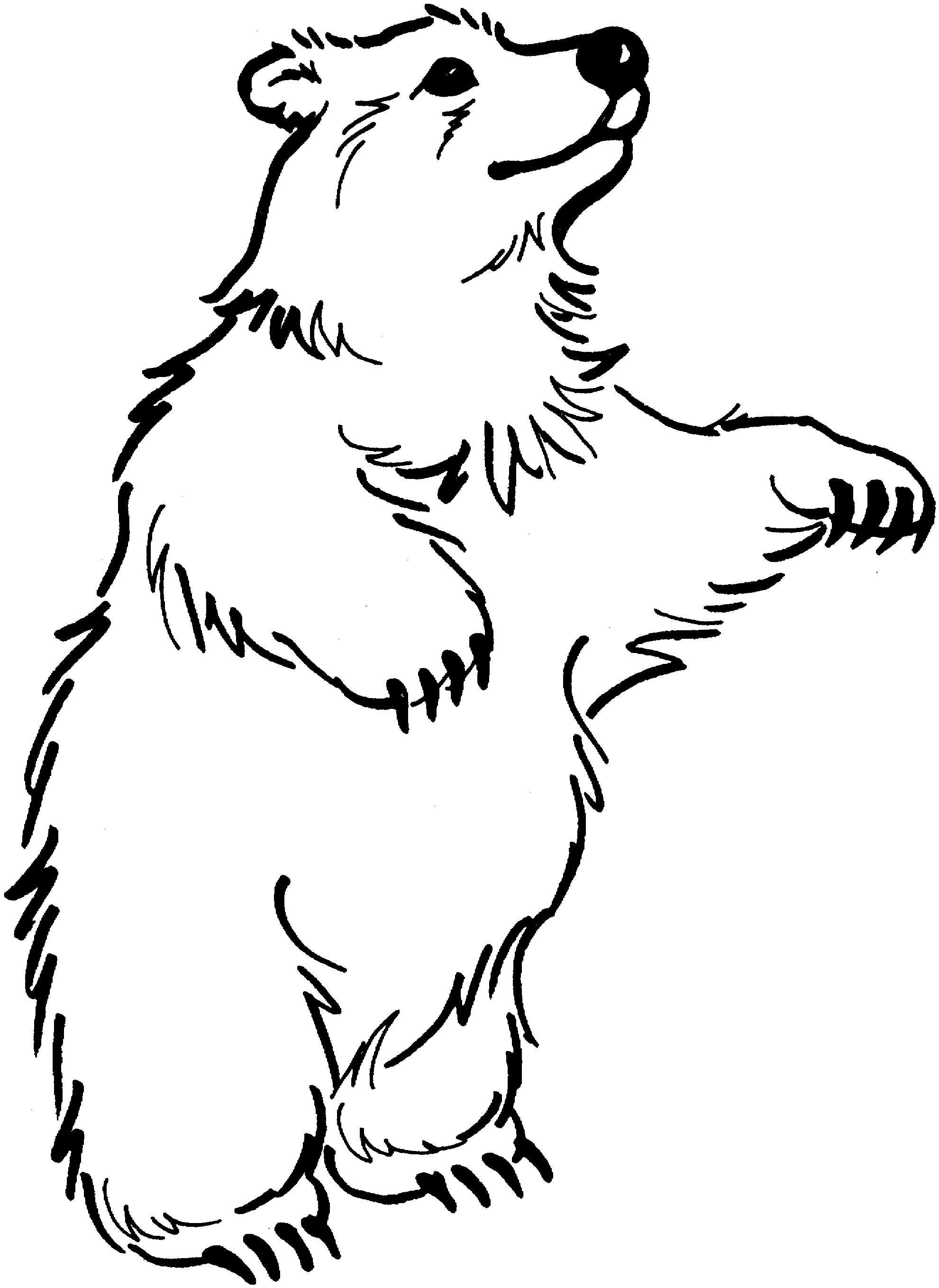 ぬりえページ: クマ (動物) #12283 - 無料の印刷可能なぬりえページ