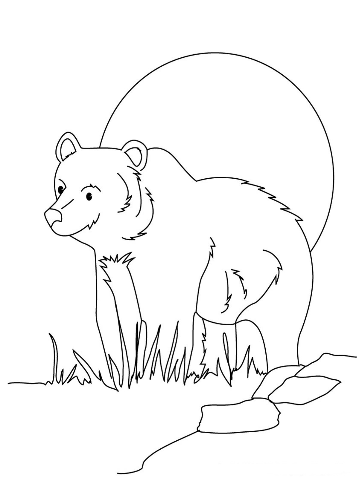 ぬりえページ: クマ (動物) #12317 - 無料の印刷可能なぬりえページ