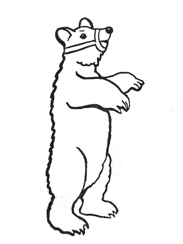 ぬりえページ: クマ (動物) #12327 - 無料の印刷可能なぬりえページ