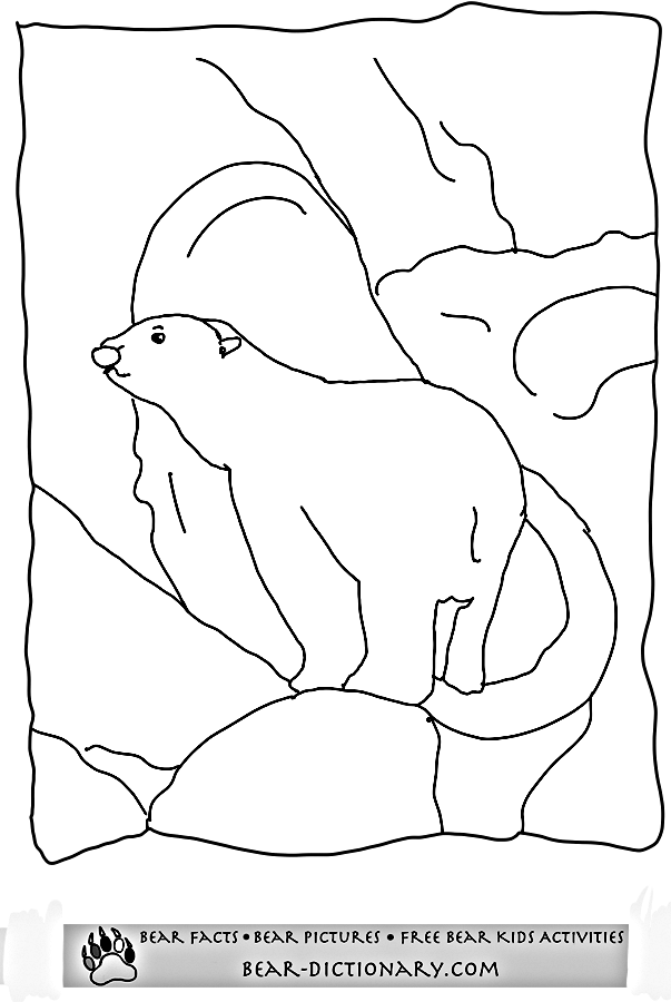 ぬりえページ: クマ (動物) #12353 - 無料の印刷可能なぬりえページ