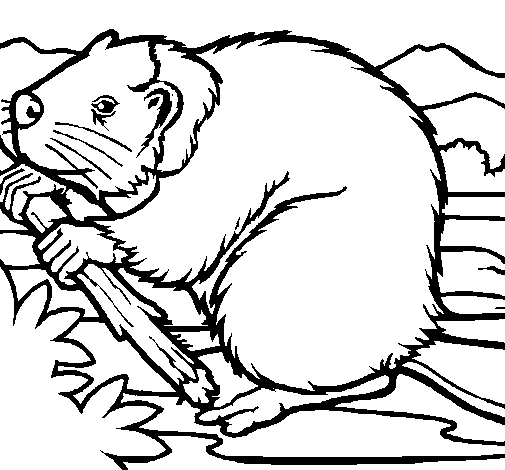 ぬりえページ: ビーバー (動物) #1589 - 無料の印刷可能なぬりえページ