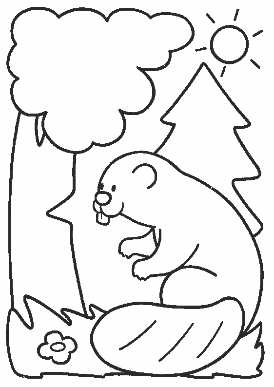 ぬりえページ: ビーバー (動物) #1594 - 無料の印刷可能なぬりえページ