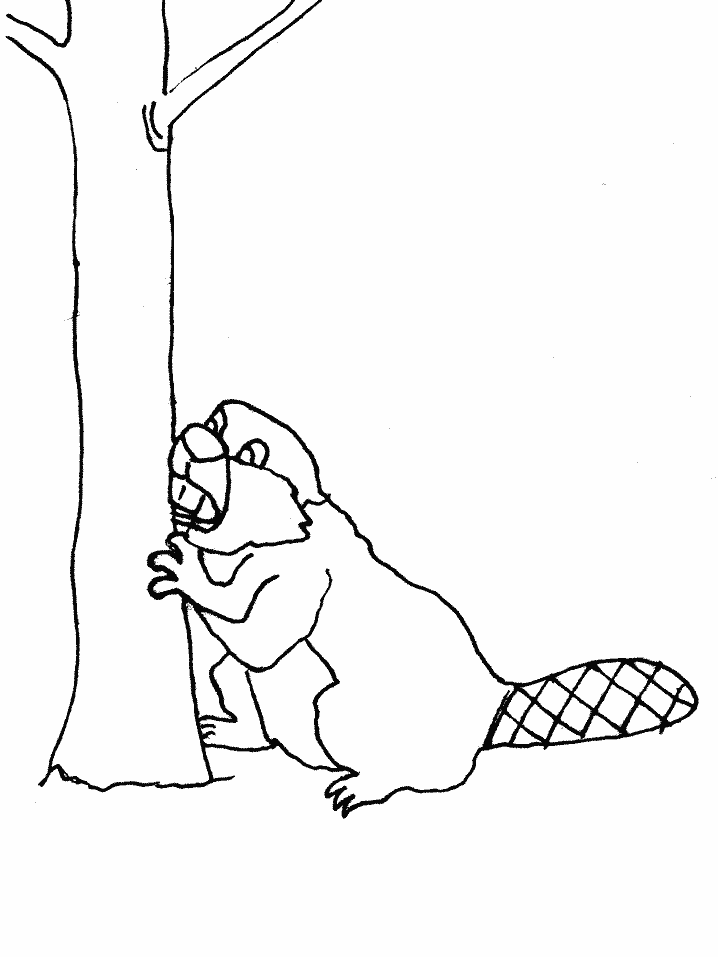 ぬりえページ: ビーバー (動物) #1622 - 無料の印刷可能なぬりえページ