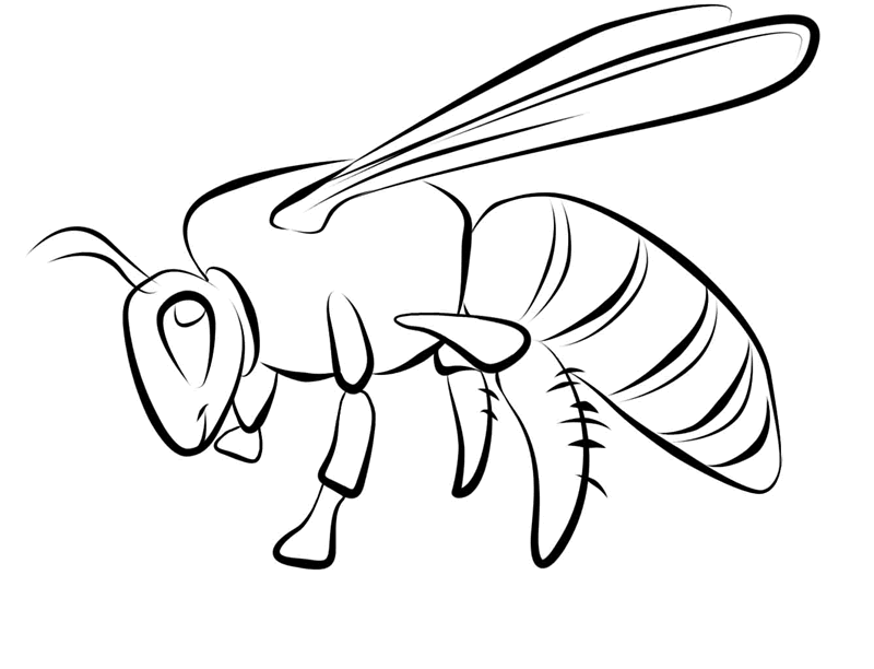 ぬりえページ: 蜂 (動物) #101 - 無料の印刷可能なぬりえページ