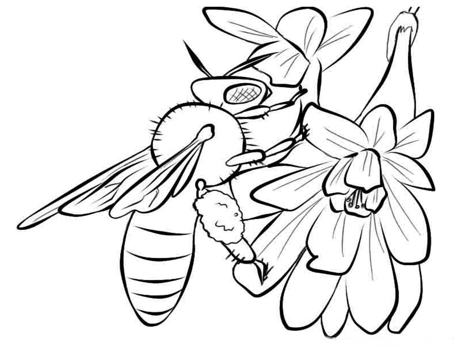 ぬりえページ: 蜂 (動物) #138 - 無料の印刷可能なぬりえページ