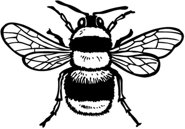 ぬりえページ: 蜂 (動物) #97 - 無料の印刷可能なぬりえページ