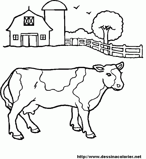 ぬりえページ: 牛肉 (動物) #1347 - 無料の印刷可能なぬりえページ