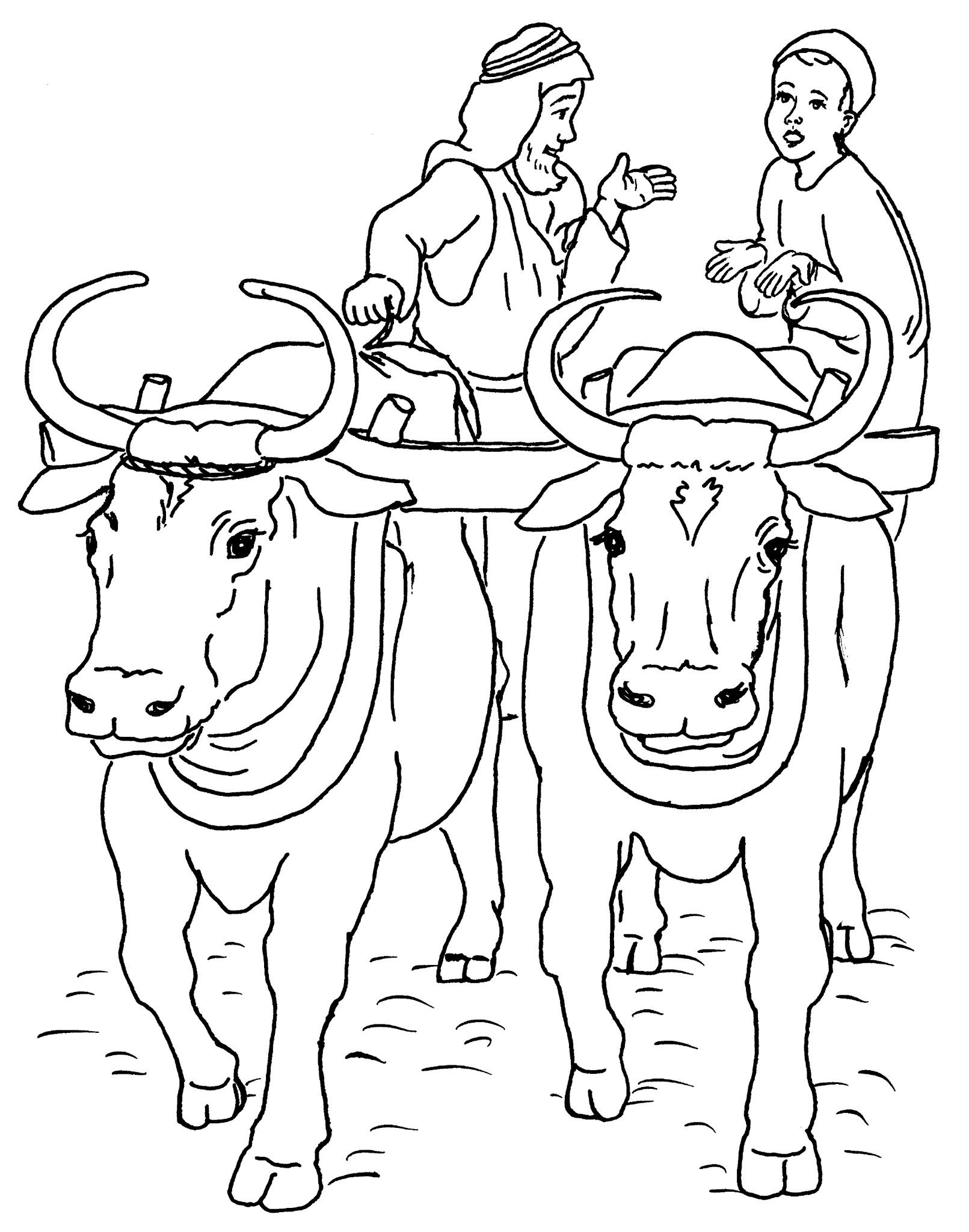 ぬりえページ: 牛肉 (動物) #1356 - 無料の印刷可能なぬりえページ