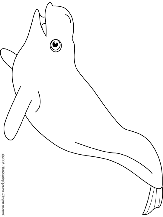 ぬりえページ: シロイルカ (動物) #1064 - 無料の印刷可能なぬりえページ