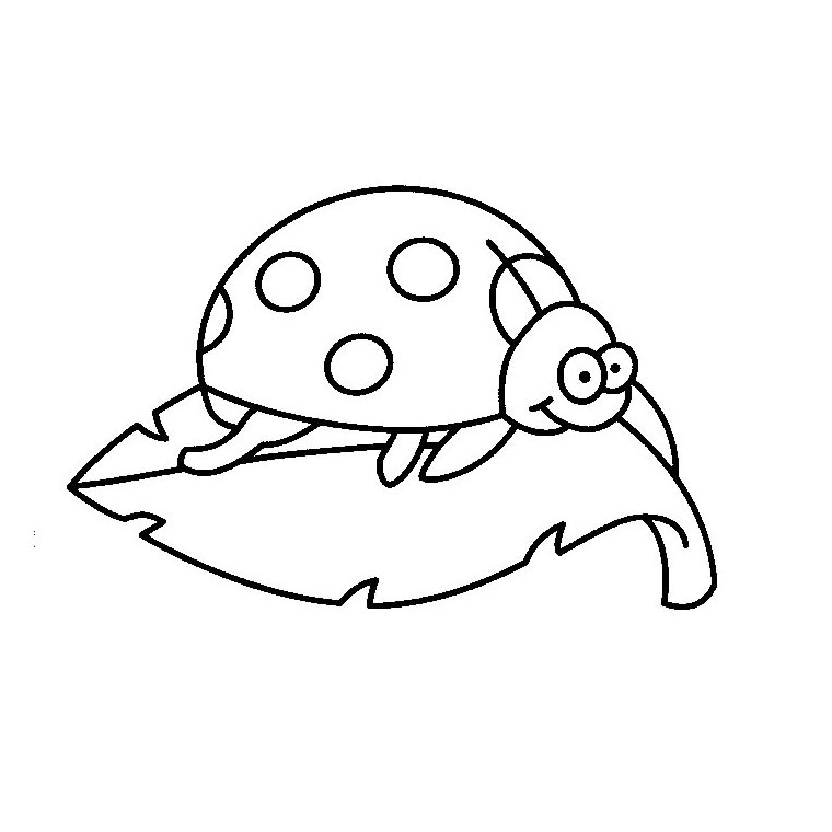 ぬりえページ: てんとう虫 (動物) #3391 - 無料の印刷可能なぬりえページ