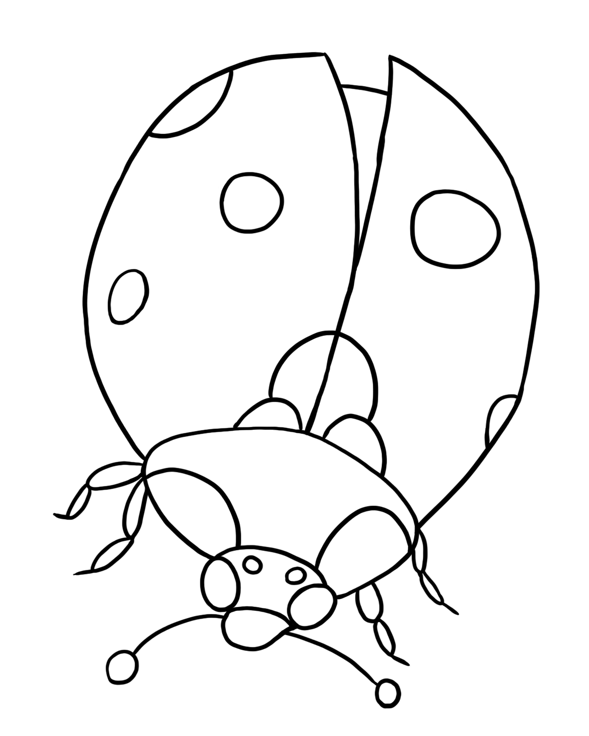 ぬりえページ: てんとう虫 (動物) #3397 - 無料の印刷可能なぬりえページ