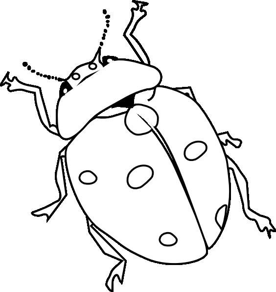 ぬりえページ: てんとう虫 (動物) #3400 - 無料の印刷可能なぬりえページ