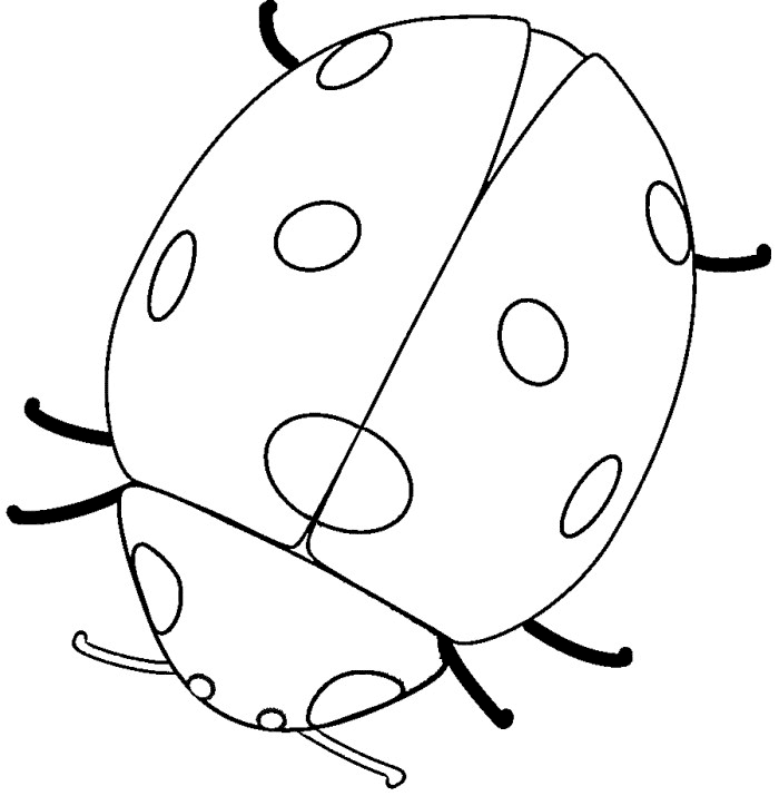 ぬりえページ: てんとう虫 (動物) #3418 - 無料の印刷可能なぬりえページ