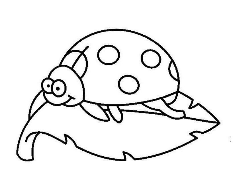 ぬりえページ: てんとう虫 (動物) #3447 - 無料の印刷可能なぬりえページ