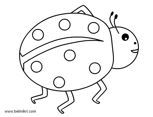 ぬりえページ: てんとう虫 (動物) #3555 - 無料の印刷可能なぬりえページ