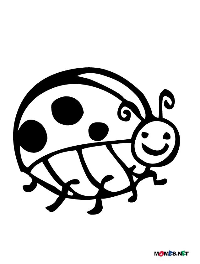 ぬりえページ: てんとう虫 (動物) #3565 - 無料の印刷可能なぬりえページ