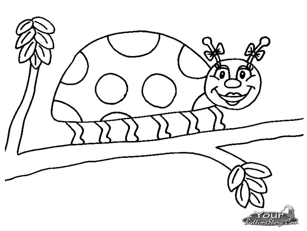 ぬりえページ: てんとう虫 (動物) #3568 - 無料の印刷可能なぬりえページ