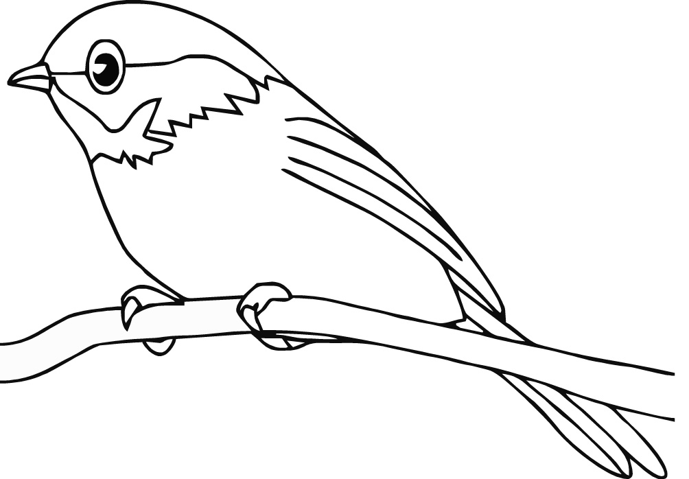 ぬりえページ: 鳥 (動物) #11840 - 無料の印刷可能なぬりえページ