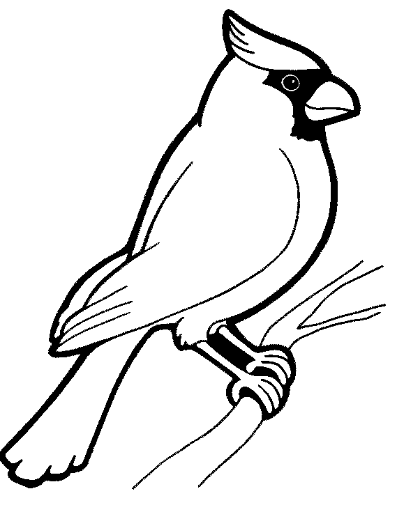 ぬりえページ: 鳥 (動物) #11846 - 無料の印刷可能なぬりえページ