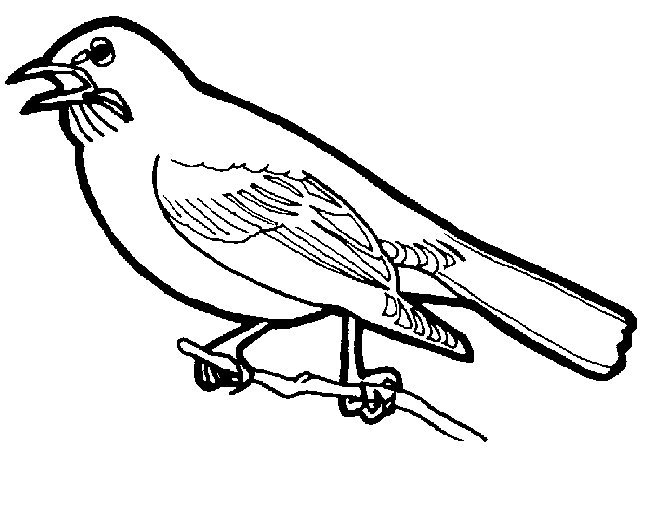 ぬりえページ: 鳥 (動物) #11853 - 無料の印刷可能なぬりえページ