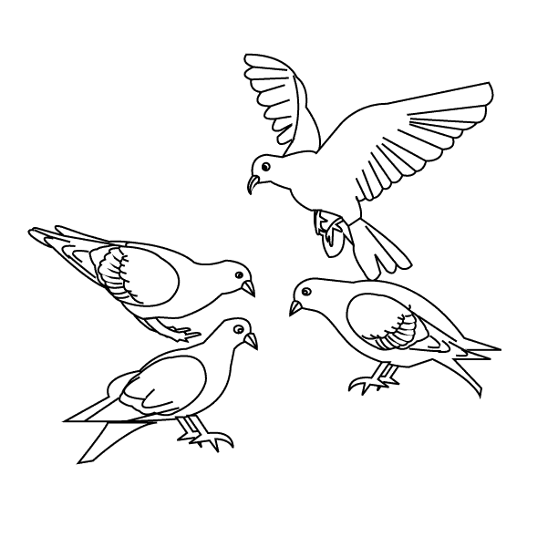 ぬりえページ: 鳥 (動物) #11856 - 無料の印刷可能なぬりえページ