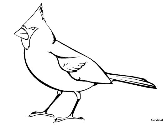 ぬりえページ: 鳥 (動物) #11870 - 無料の印刷可能なぬりえページ