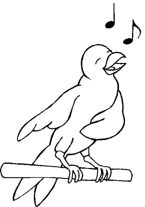 ぬりえページ: 鳥 (動物) #11880 - 無料の印刷可能なぬりえページ