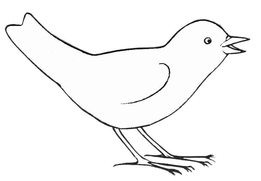 ぬりえページ: 鳥 (動物) #11884 - 無料の印刷可能なぬりえページ