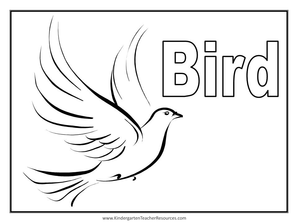 ぬりえページ: 鳥 (動物) #11907 - 無料の印刷可能なぬりえページ