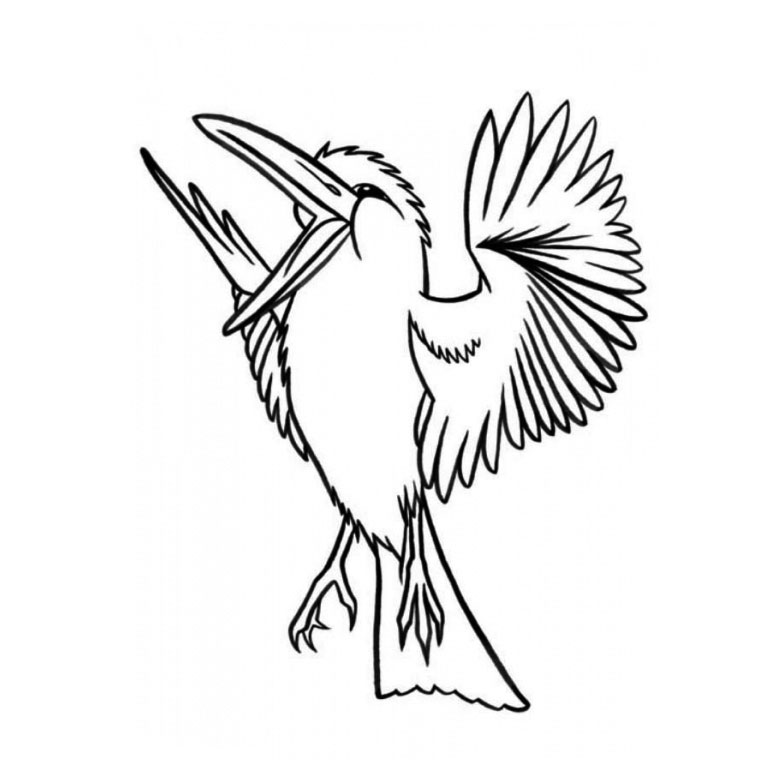 ぬりえページ: 鳥 (動物) #11911 - 無料の印刷可能なぬりえページ