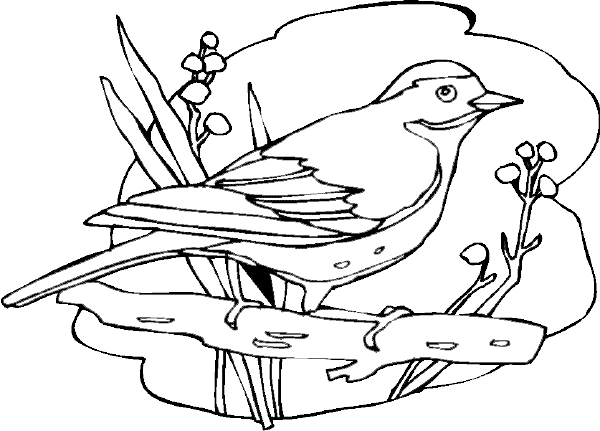 ぬりえページ: 鳥 (動物) #11921 - 無料の印刷可能なぬりえページ