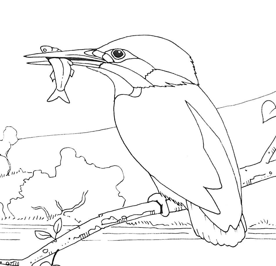 ぬりえページ: 鳥 (動物) #11939 - 無料の印刷可能なぬりえページ